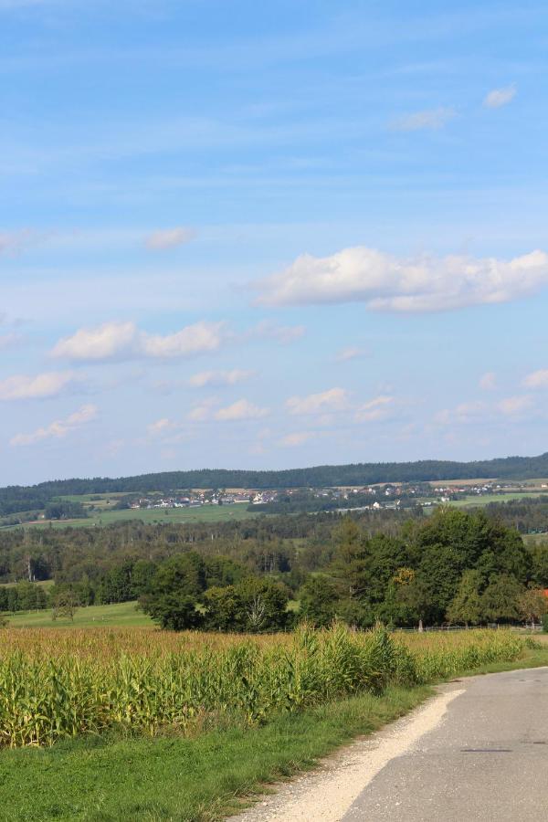 Am Barthelwald Apartment Wilhelmsdorf (Ravensburg)