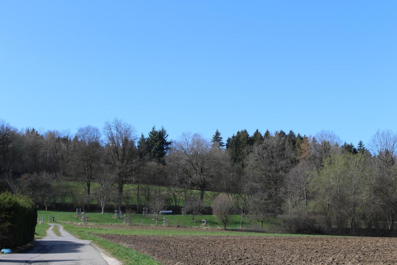 Apartment Am Barthelwald